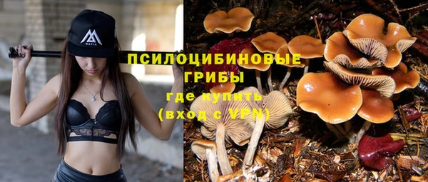 mdpv Баксан