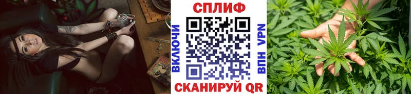 Шишки марихуана план  darknet состав  Вяземский 